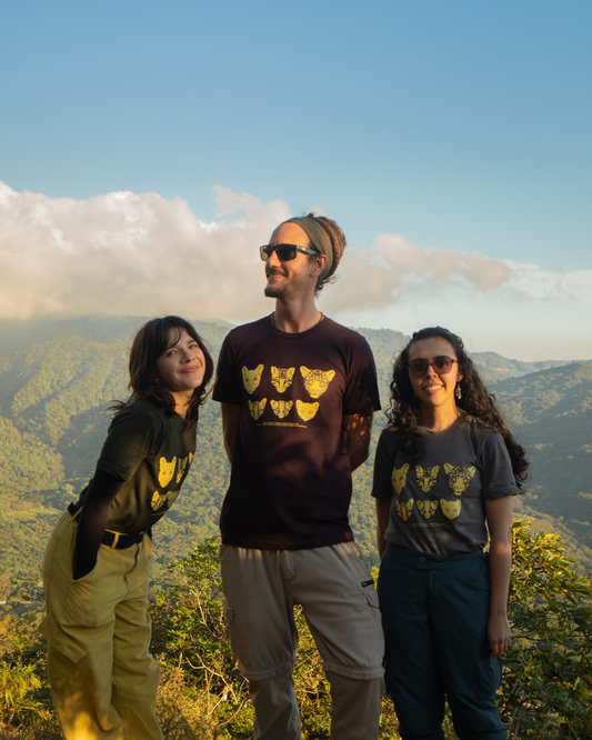 Felinos de Costa Rica - Camiseta