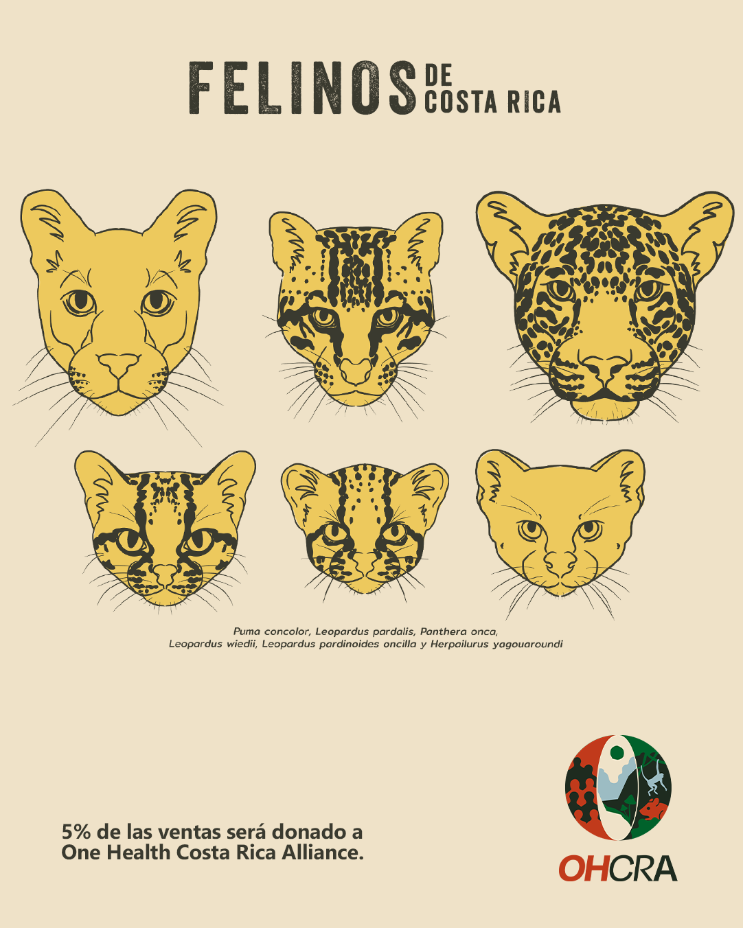 Felinos de Costa Rica - Camiseta
